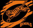 Bengals history